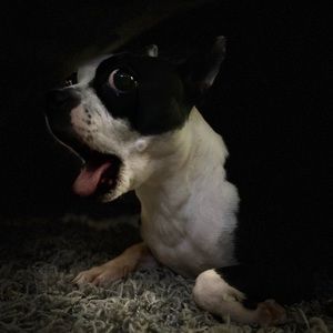 Meet your Posher, Chloe